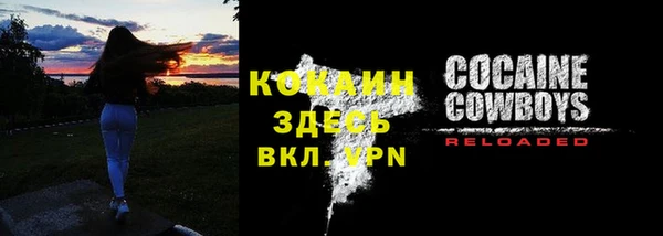 СК Волоколамск