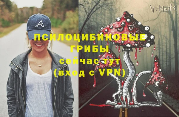 СК Волоколамск