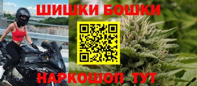 гашик Будённовск