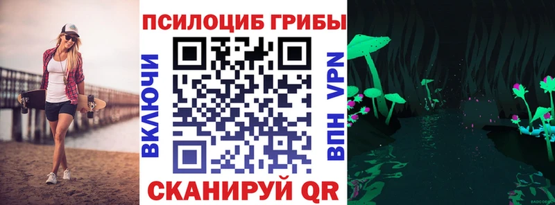 закладка  сайты даркнета состав  Псилоцибиновые грибы прущие грибы  Георгиевск 