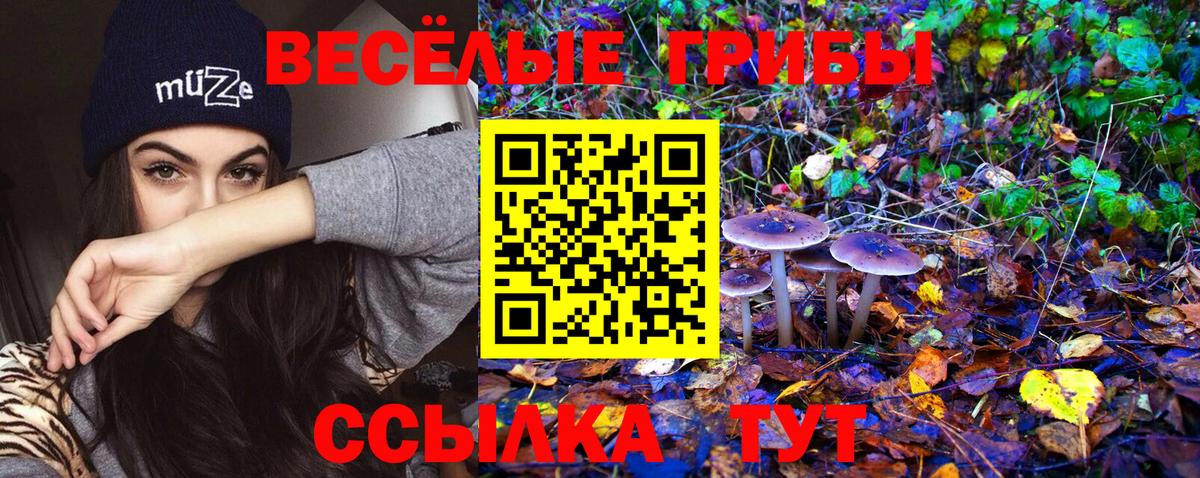 Псилоцибиновые грибы ЛСД  Псилоцибиновые грибы мицелий  Георгиевск  Вход с VPN 