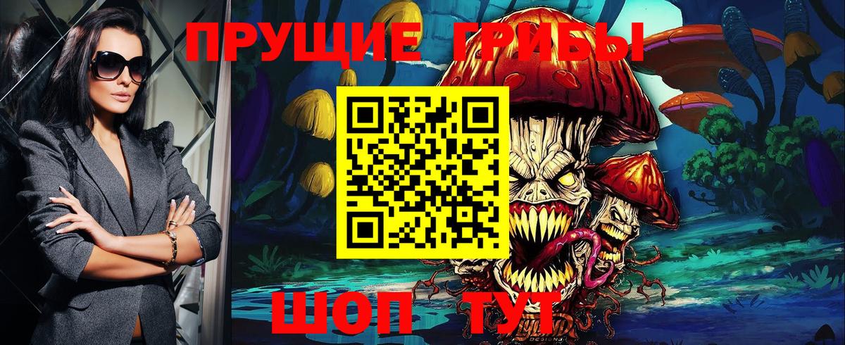 Псилоцибиновые грибы GOLDEN TEACHER  что такое наркотик  Георгиевск  Галлюциногенные грибы Psilocybine cubensis 