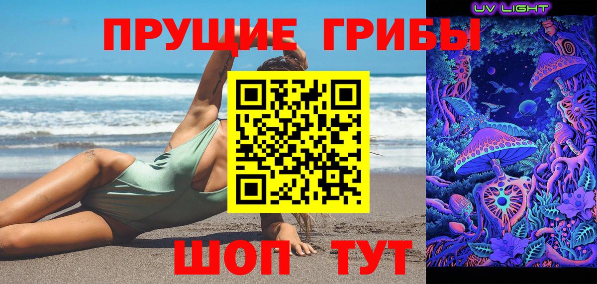 Псилоцибиновые грибы GOLDEN TEACHER Георгиевск