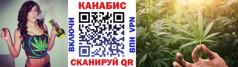 магазин продажи наркотиков  Георгиевск  Бошки марихуана OG Kush 